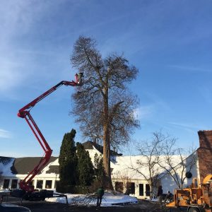 K and S Tree Service