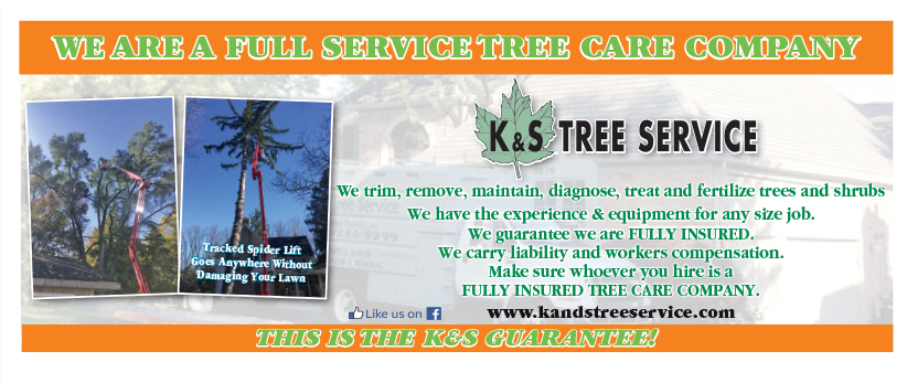 K and S Tree Service