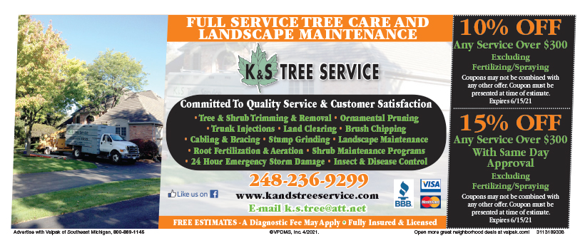 K and S Tree Service
