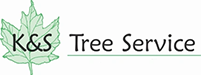 K and S Tree Service